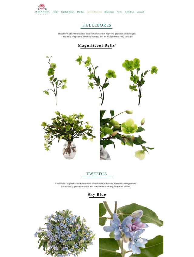 Alexandra Farms Accent flowers page, previous build