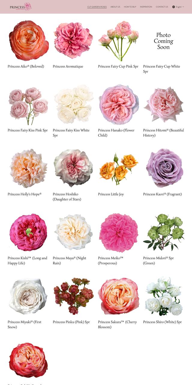 Princess Garden Roses Garden roses page, previous build