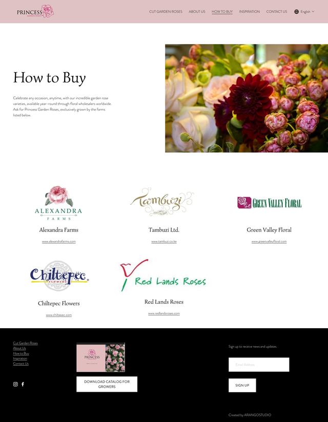 Princess Garden Roses How to buy page, previous build