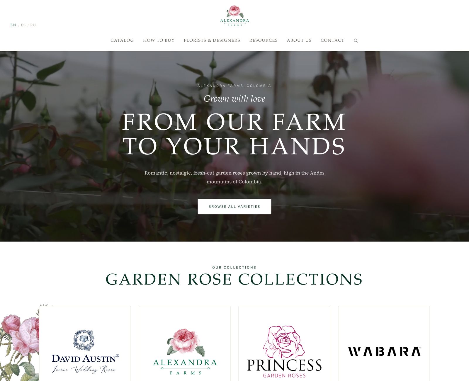 Alexandra Farms home page, garden rose collections