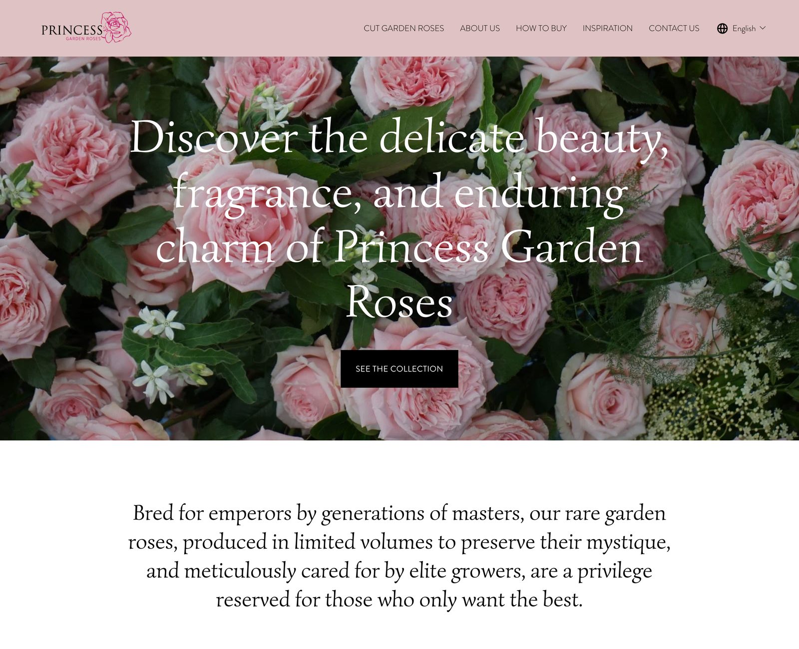 Princess Garden Roses before the rebuild