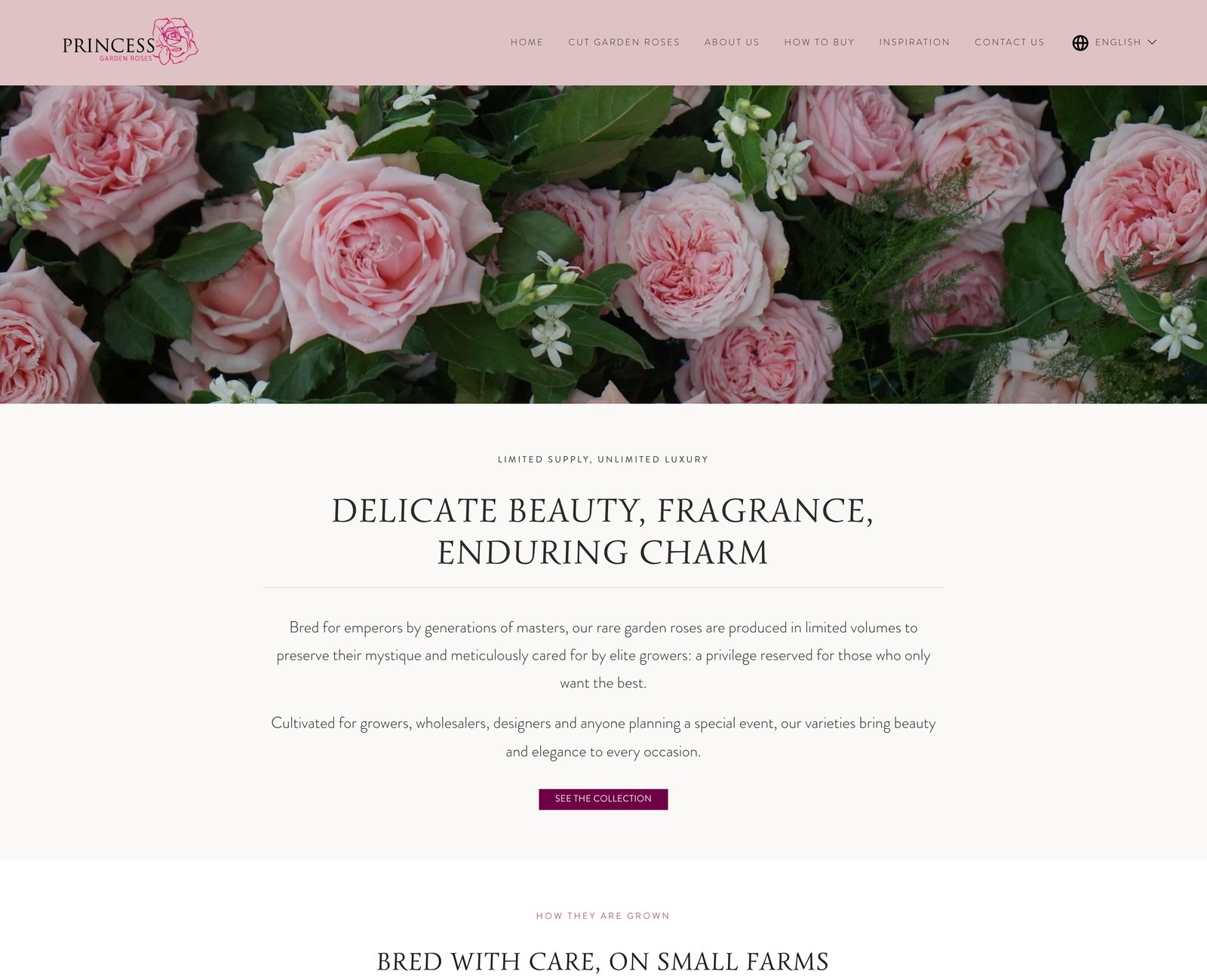 Princess Garden Roses home page today